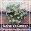 Noise Vs Cancer