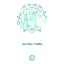 Spirit Warp / Traffic2