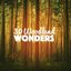 30 Woodland Wonders