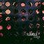 A Ideia - Single