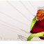 Avatar für gehtnix