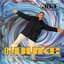 Journeys by DJ International, Volume 2: DJ Duke