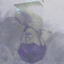 Avatar de brambordella