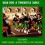 Irish Pipe & Tinwhistle Songs