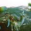 Something Better - Single