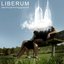 Liberum