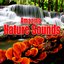 Amazing Nature Sounds