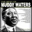 Muddy Waters Woodstock Album