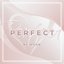 Perfect - Single