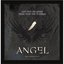 Angel: Live Fast Die Never