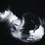 Sleeping Sanity - Single