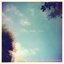 the wind alive like a heart beating