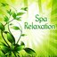 Spa Relaxation – Nature Sounds to Relax, New Age Spa Music, Wellness Relaxation, Healing Massage