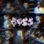 Boss - Single