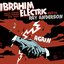 Ibrahim Electric meets Ray Anderson - Again