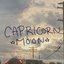 Capricorn Moon