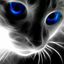 Avatar di Chaos_Kitty