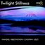 Twilight Stillness