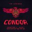 Condor (Chapter 1: Body)