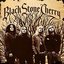 Black Stone Cherry (Bonus Track Version)