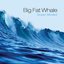 Ocean Minded
