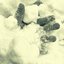 Body Parts and Other Uncommon Goods - Single