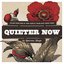 Quieter Now: Lullaby Renditions of Taking Back Sunday songs