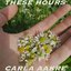 these hours