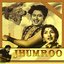 Jhumroo