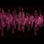 Delta Waves