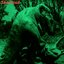 230 Million Years