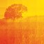 Summer - EP