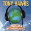 One Hit Wonderland