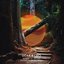 Scent of Wood (Bound to Divide Remix)