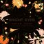 Bright Eyes - Noise Floor (Rarities: 1998-2005) album artwork