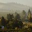 Oregon Home