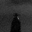 shadow