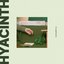 Hyacinth - Single