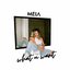 What U Want - Single
