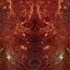 Space Mirror