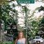 Growing Pains
