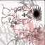 mygirl (feat. aeter)