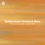 Subterranean Homesick Blues (feat. Andrew Bird)
