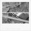 the overlapping nature of things