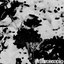 Microscopio