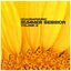 Quadraphonic Summer Session, Vol. 2