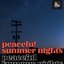 peaceful summer nights by The Circle Sessions