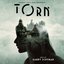 Torn (Original Video Game Soundtrack)