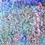 Lisanthus - EP