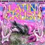 Felina Latin Crush Supported by FUEGO